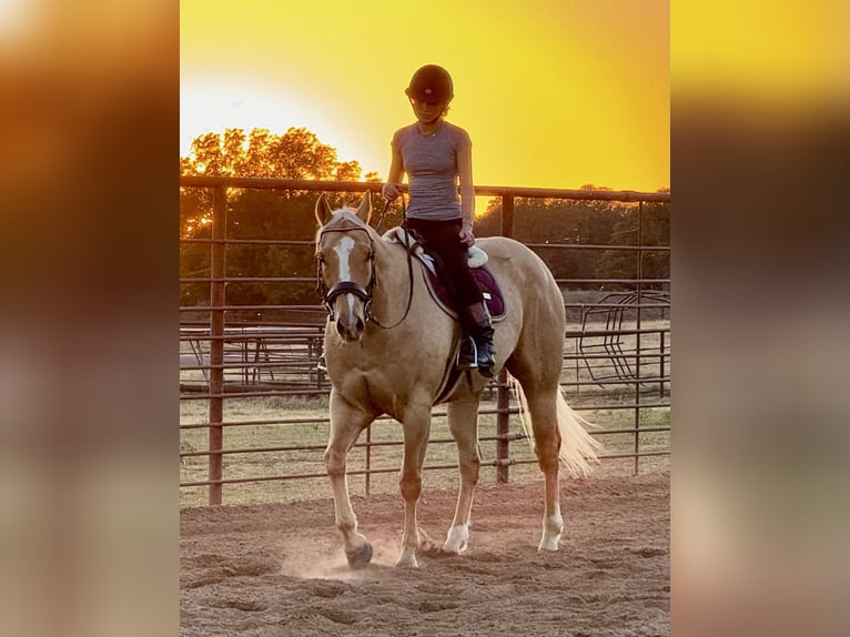 Caballo cuarto de milla Caballo castrado 10 años 157 cm Palomino in Weatherford