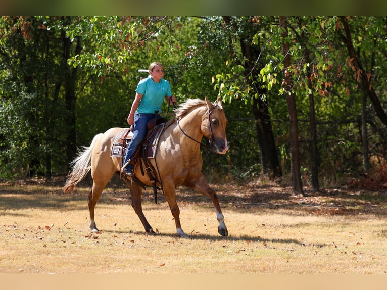 Caballo cuarto de milla Caballo castrado 10 años Palomino in Terrell
