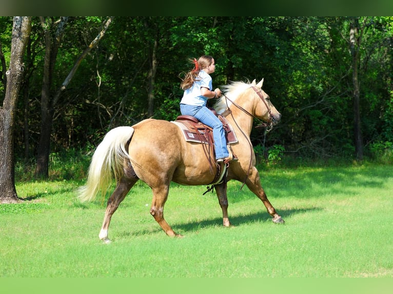 Caballo cuarto de milla Caballo castrado 10 años Palomino in Terrell