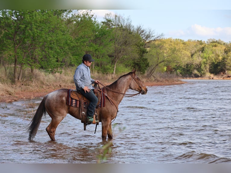 Caballo cuarto de milla Caballo castrado 10 años Ruano alazán in Ripley