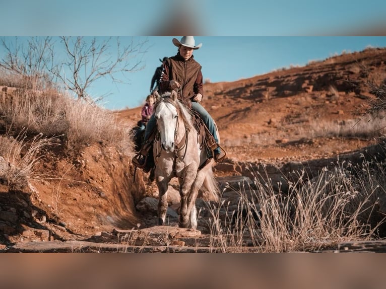 Caballo cuarto de milla Caballo castrado 10 años Tordo in Canyon, TX