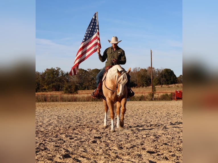 Caballo cuarto de milla Caballo castrado 11 años 152 cm Palomino in Grand Saline TX