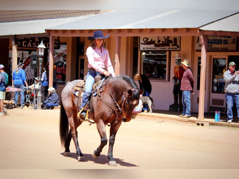 Caballo cuarto de milla Caballo castrado 12 años 147 cm in Marana, AZ