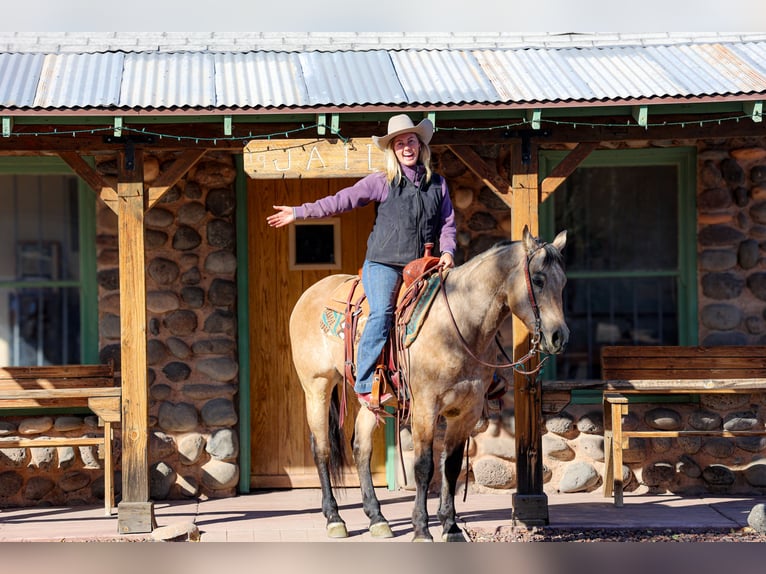 Caballo cuarto de milla Caballo castrado 13 años 147 cm Buckskin/Bayo in Camp Verde