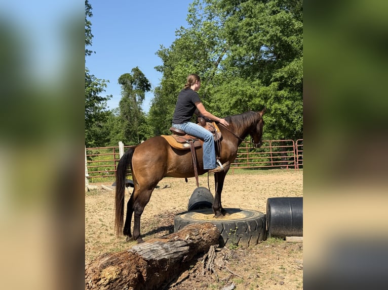 Caballo cuarto de milla Caballo castrado 14 años 142 cm Castaño rojizo in Carnesville, GA