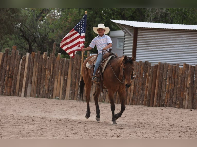 Caballo cuarto de milla Caballo castrado 14 años 147 cm Castaño rojizo in Camp Verde AZ