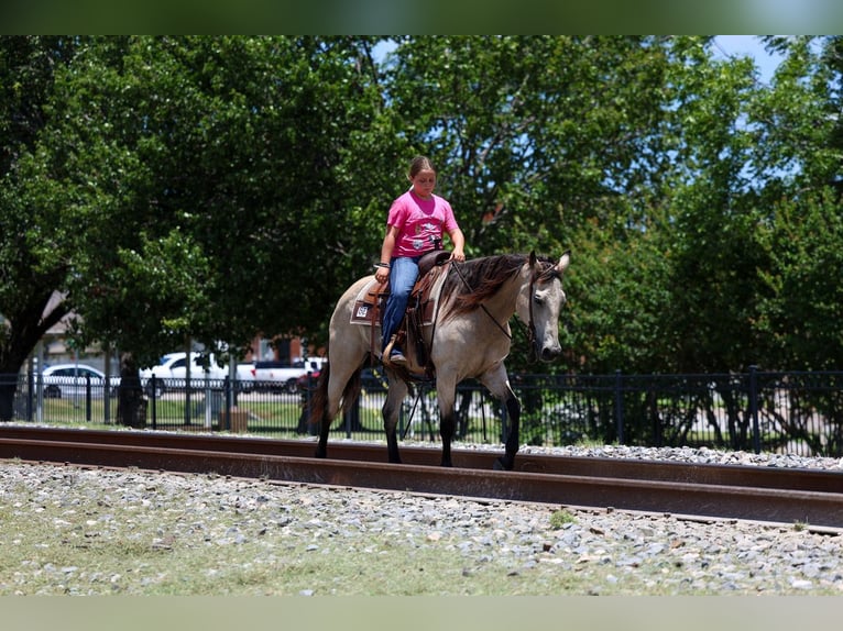 Caballo cuarto de milla Caballo castrado 15 años Buckskin/Bayo in Forney