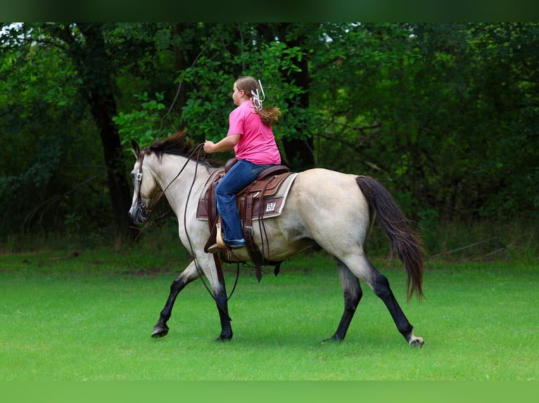 Caballo cuarto de milla Caballo castrado 15 años Buckskin/Bayo in Forney