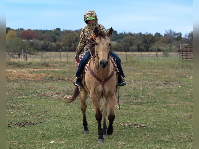 Caballo cuarto de milla Caballo castrado 16 años 152 cm Buckskin/Bayo in Stephenville TX