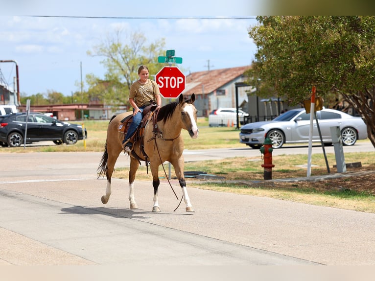 Caballo cuarto de milla Caballo castrado 16 años Buckskin/Bayo in Terrell
