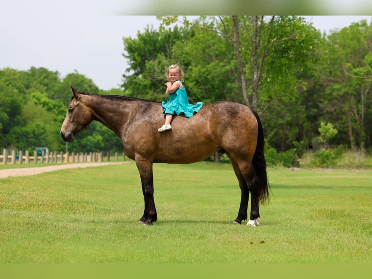 Caballo cuarto de milla Caballo castrado 3 años Buckskin/Bayo in Talty, TX