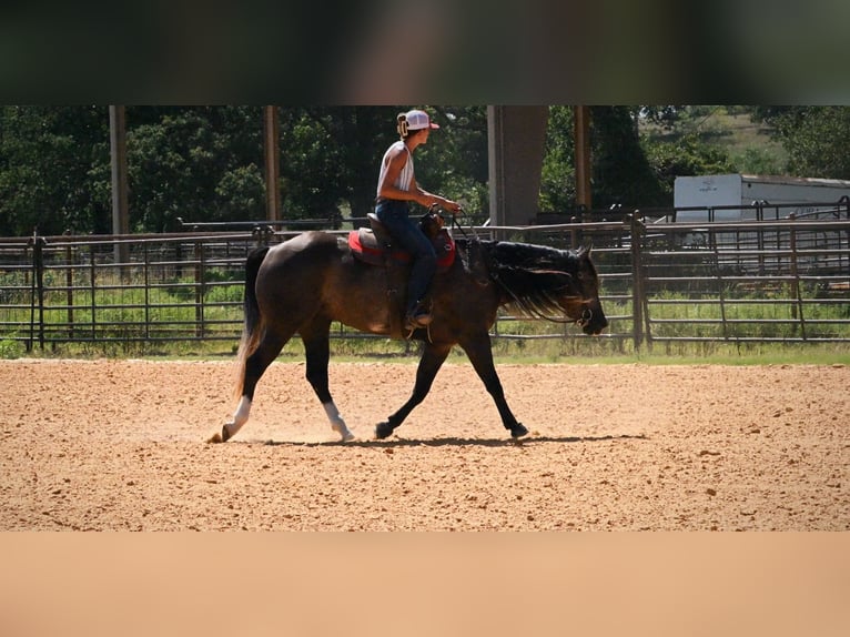 Caballo cuarto de milla Caballo castrado 3 años Tordo in Stephenville