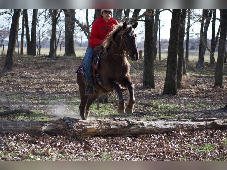 Caballo cuarto de milla Caballo castrado 4 años 140 cm Palomino in Sulphur Springs