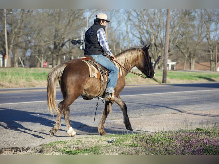 Caballo cuarto de milla Caballo castrado 4 años 140 cm Palomino in Sulphur Springs
