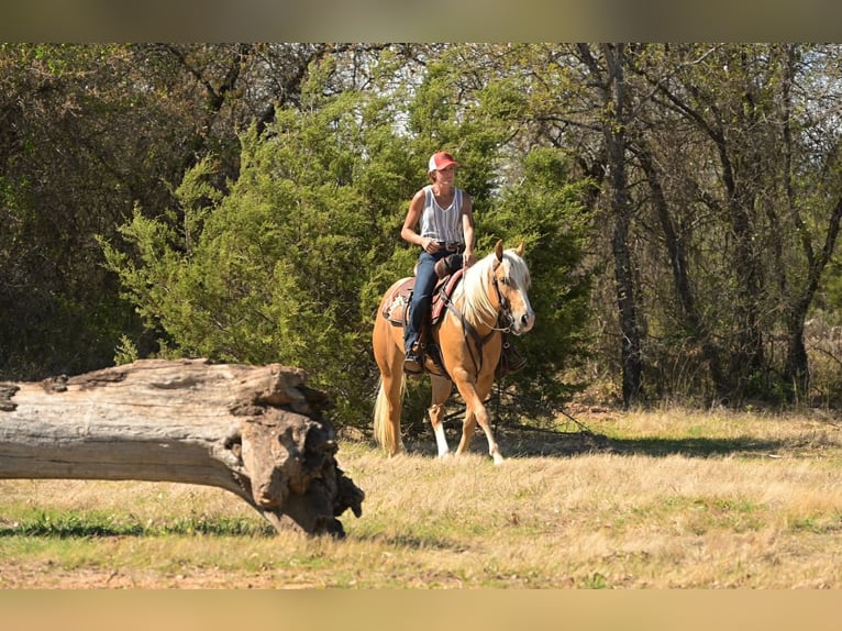 Caballo cuarto de milla Caballo castrado 4 años 142 cm Palomino in Stephenville