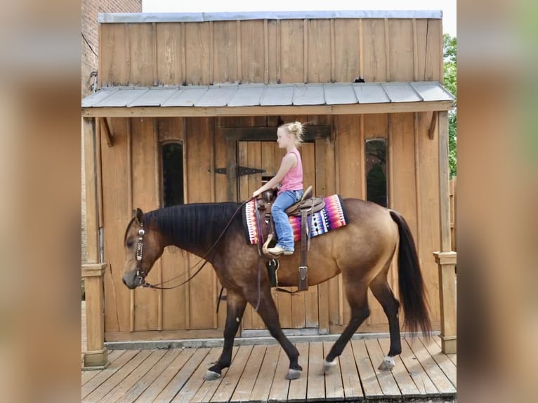 Caballo cuarto de milla Caballo castrado 4 años 150 cm Buckskin/Bayo in Sedalia, MO