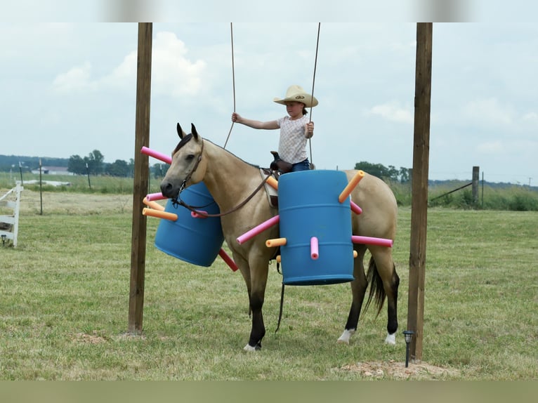 Caballo cuarto de milla Caballo castrado 4 años 152 cm Buckskin/Bayo in Mount Vernon
