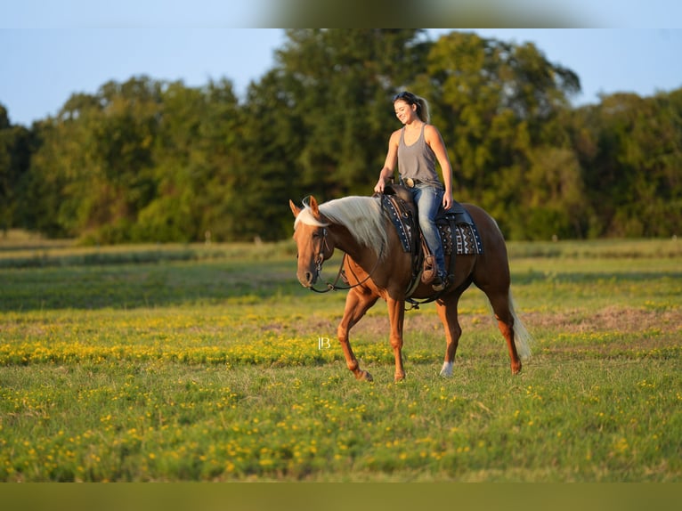 Caballo cuarto de milla Caballo castrado 5 años 150 cm Palomino in Terrell