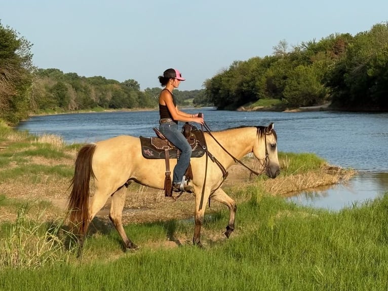 Caballo cuarto de milla Mestizo Caballo castrado 5 años 152 cm Buckskin/Bayo in Weatherford, TX