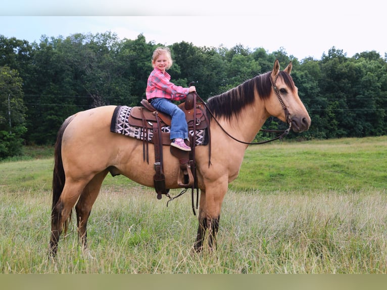 Caballo cuarto de milla Caballo castrado 5 años Buckskin/Bayo in Merrill