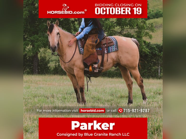 Caballo cuarto de milla Caballo castrado 5 años Buckskin/Bayo in Merrill