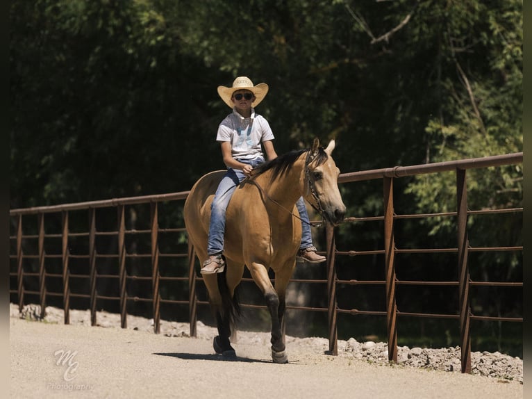 Caballo cuarto de milla Caballo castrado 6 años 147 cm Buckskin/Bayo in Caldwell, ID