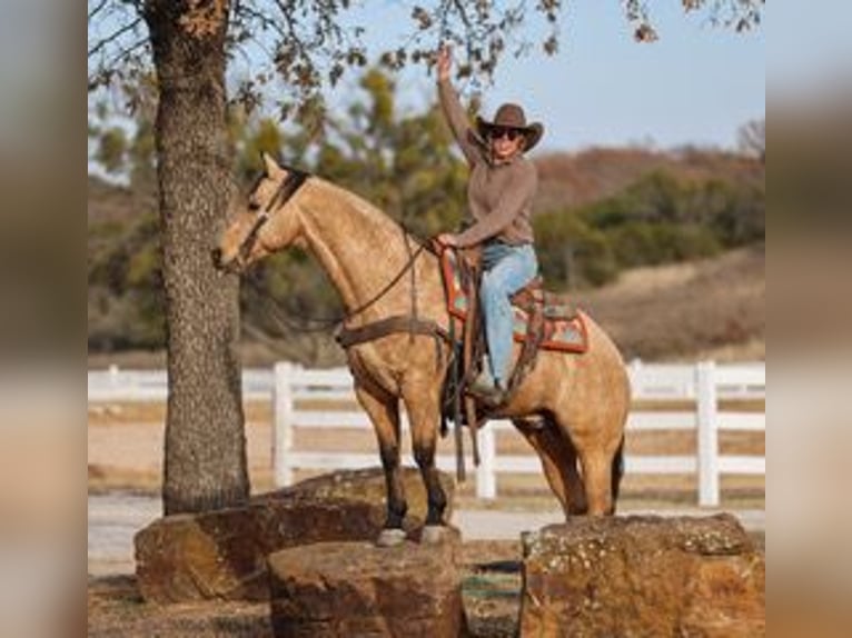 Caballo cuarto de milla Caballo castrado 6 años 147 cm Buckskin/Bayo in Ranger