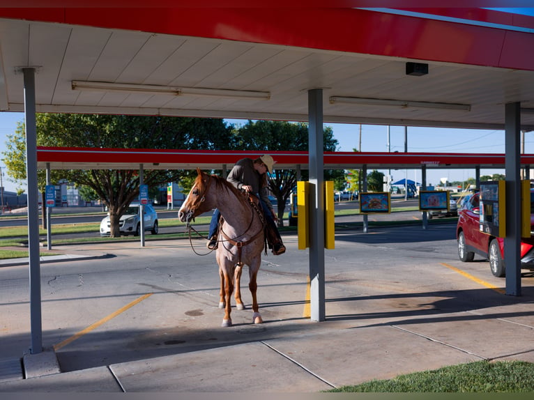 Caballo cuarto de milla Caballo castrado 6 años Ruano alazán in Amarillo