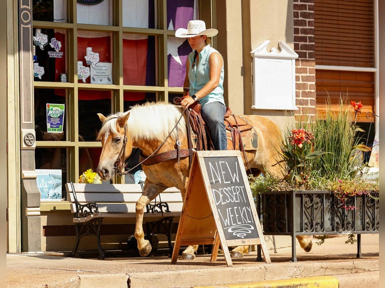 Caballo cuarto de milla Caballo castrado 7 años 140 cm Palomino in Rusk TX