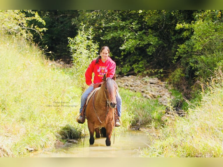 Caballo cuarto de milla Caballo castrado 7 años 147 cm Ruano alazán in Peosta