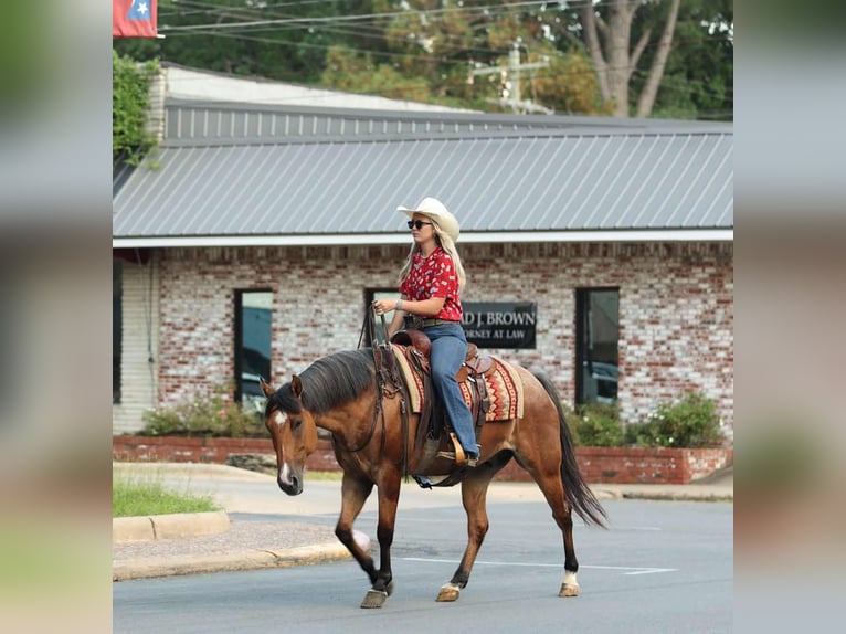 Caballo cuarto de milla Caballo castrado 7 años 150 cm Bayo in Quitman AR