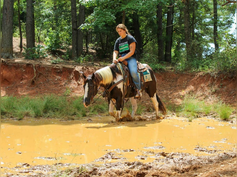 Caballo cuarto de milla Caballo castrado 7 años 150 cm Tobiano-todas las-capas in Rusk TX