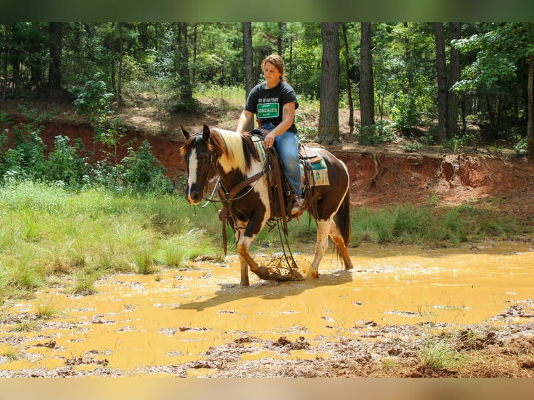 Caballo cuarto de milla Caballo castrado 7 años 150 cm Tobiano-todas las-capas in Rusk TX