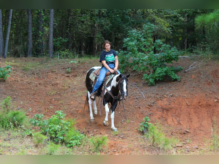 Caballo cuarto de milla Caballo castrado 7 años 150 cm Tobiano-todas las-capas in Rusk TX