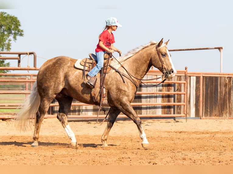 Caballo cuarto de milla Caballo castrado 8 años 150 cm Palomino in Weatherford, TX