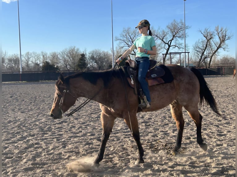 Caballo cuarto de milla Caballo castrado 8 años 170 cm Castaño-ruano in Grand Island
