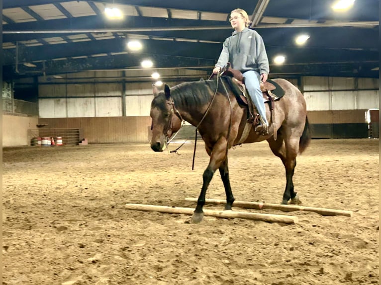 Caballo cuarto de milla Caballo castrado 8 años 170 cm Castaño-ruano in Grand Island
