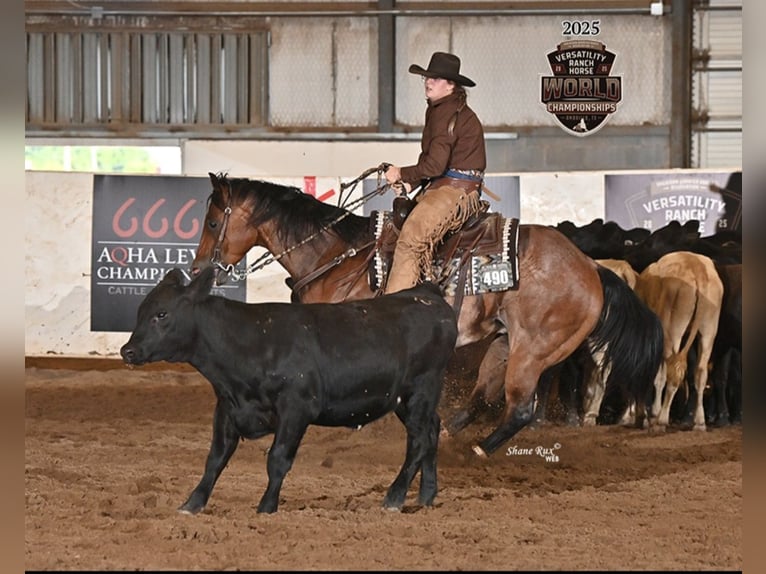 Caballo cuarto de milla Caballo castrado 8 años 170 cm Castaño-ruano in Grand Island