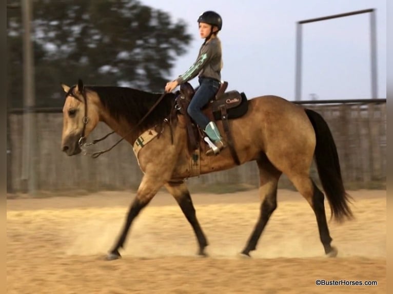 Caballo cuarto de milla Caballo castrado 8 años Buckskin/Bayo in Weatherford Tx