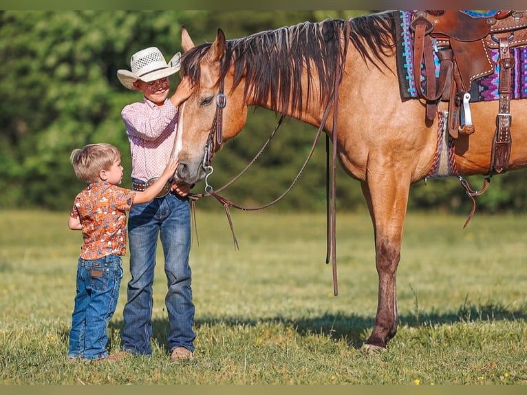 Caballo cuarto de milla Caballo castrado 8 años Buckskin/Bayo in Lyles