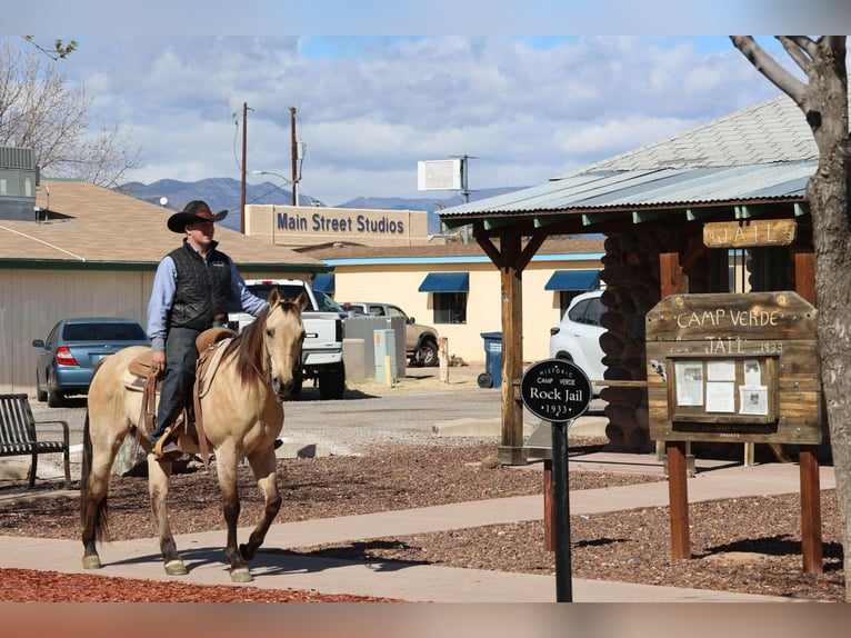 Caballo cuarto de milla Caballo castrado 9 años 150 cm Buckskin/Bayo in Camp Verde AZ