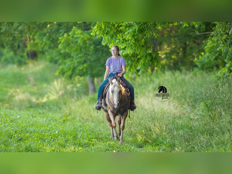 Caballo cuarto de milla Caballo castrado 9 años 150 cm Palomino in Fredericksburg, OH