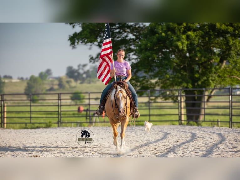 Caballo cuarto de milla Caballo castrado 9 años 150 cm Palomino in Fredericksburg, OH