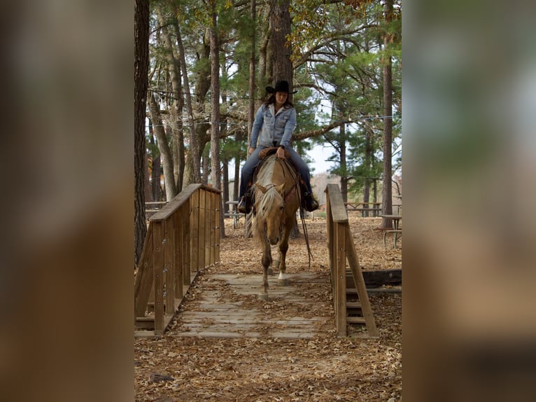 Caballo cuarto de milla Caballo castrado 9 años 155 cm Palomino in RUSK TX