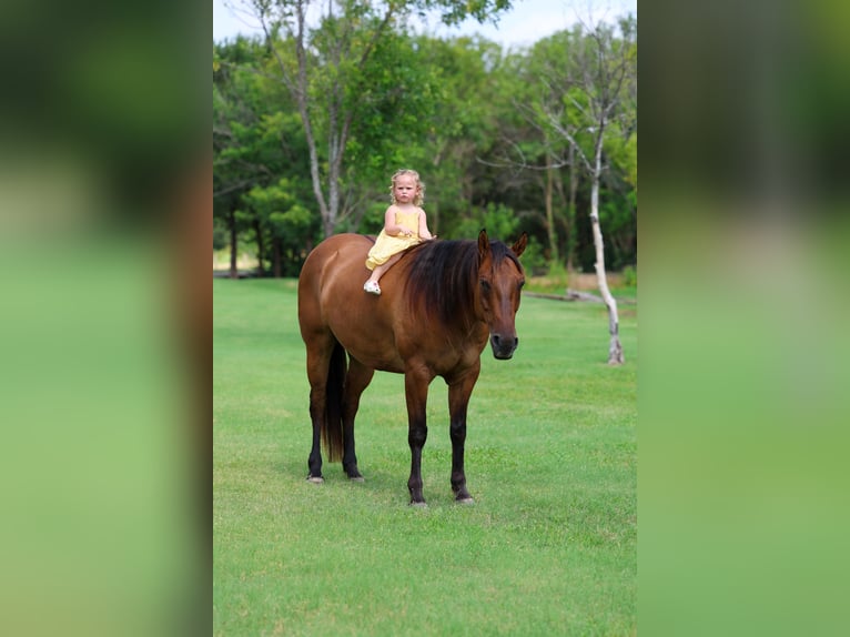 Caballo cuarto de milla Caballo castrado 9 años Bayo in Terrell