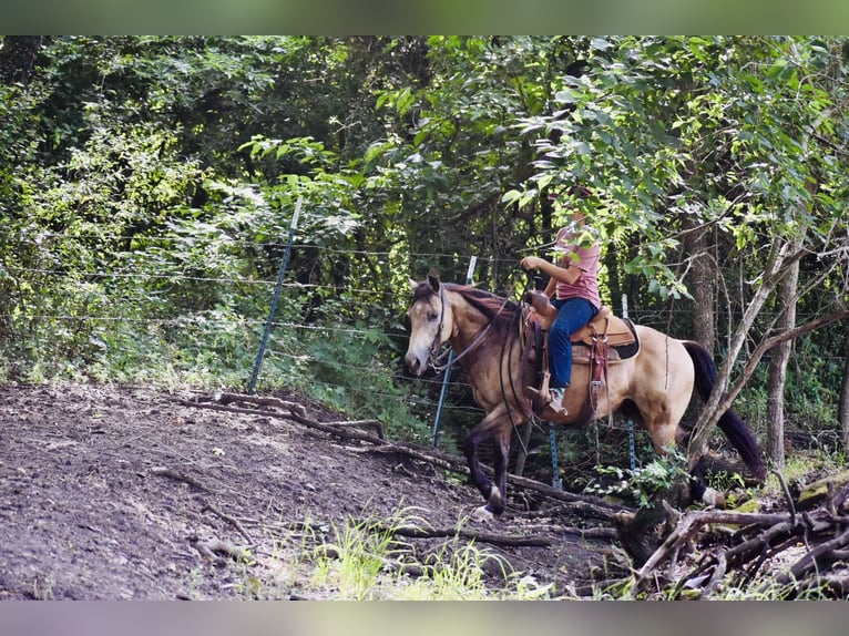 Caballo cuarto de milla Caballo castrado 9 años Buckskin/Bayo in Grandview
