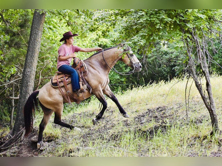 Caballo cuarto de milla Caballo castrado 9 años Buckskin/Bayo in Grandview