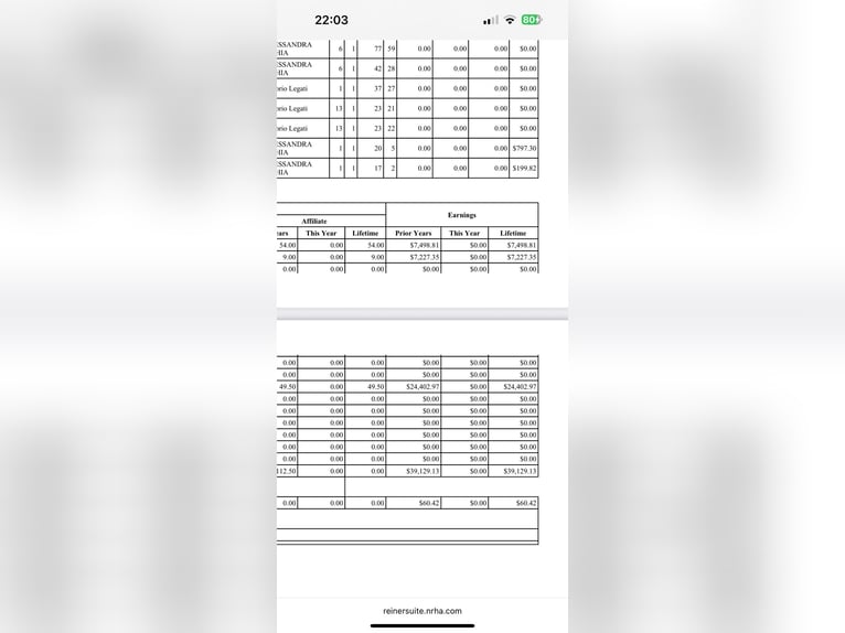 Caballo cuarto de milla Semental 10 años Alazán in Desenzano Del Garda