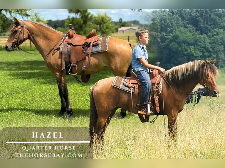Caballo cuarto de milla Yegua 10 años 142 cm Bayo in Houston, MO