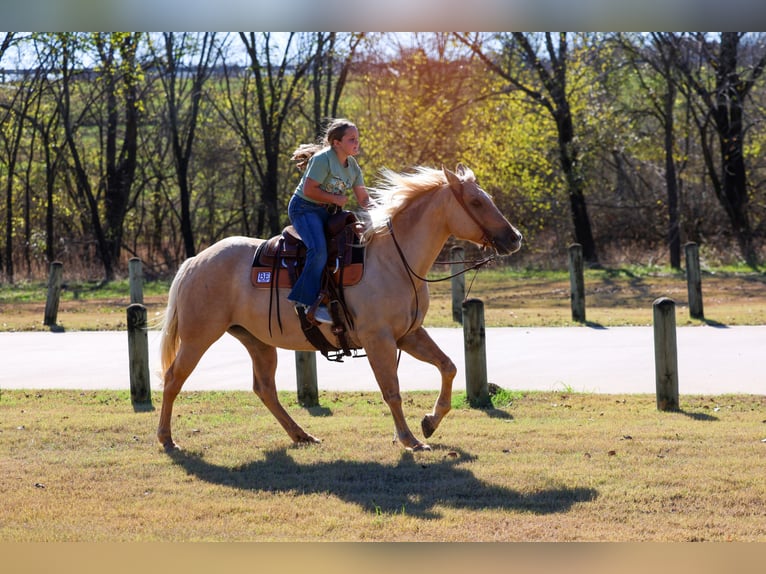 Caballo cuarto de milla Yegua 10 años 157 cm Palomino in Forney